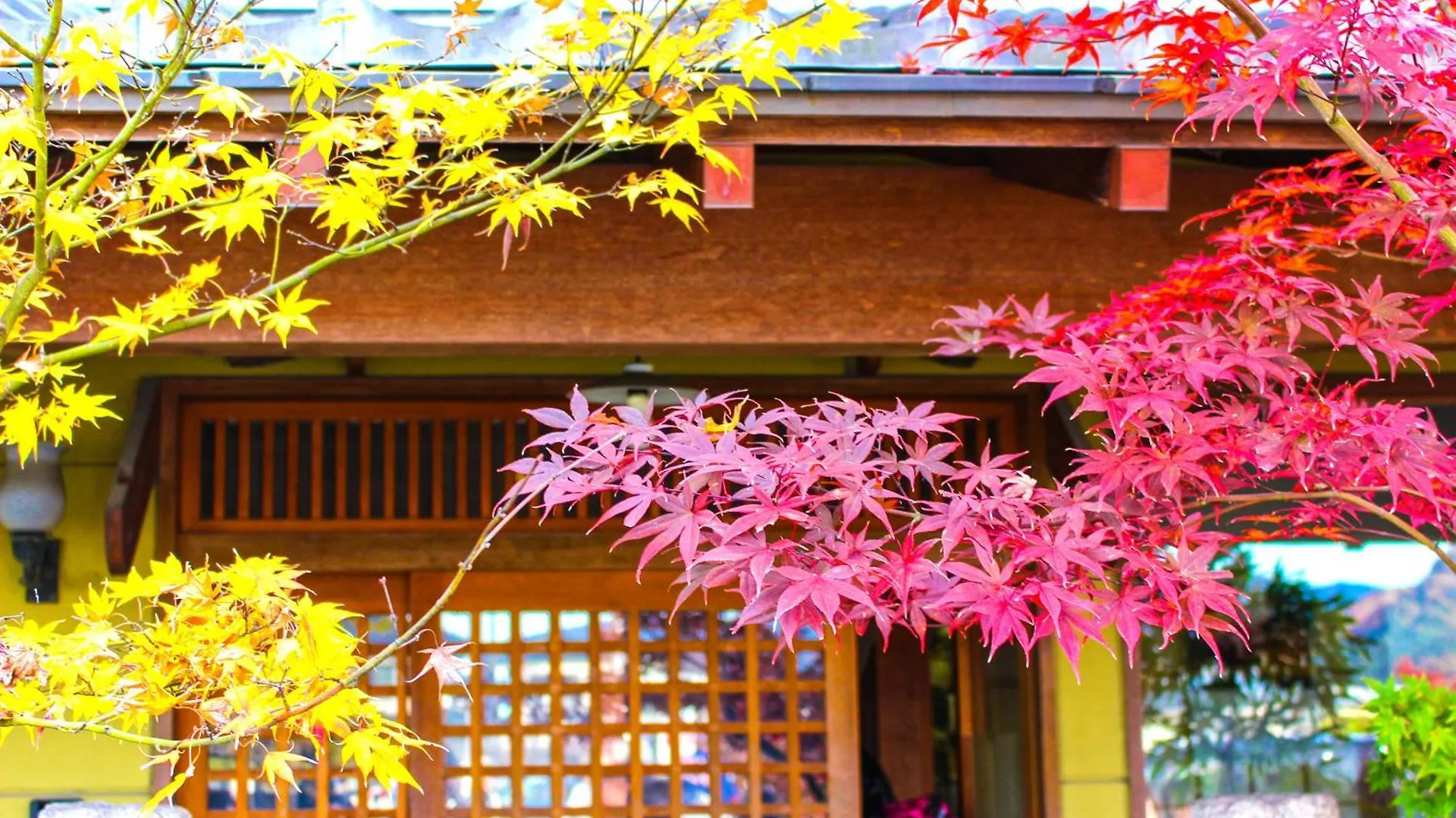 Stay SAKURA Kyoto 二条城西Ⅰ 日本